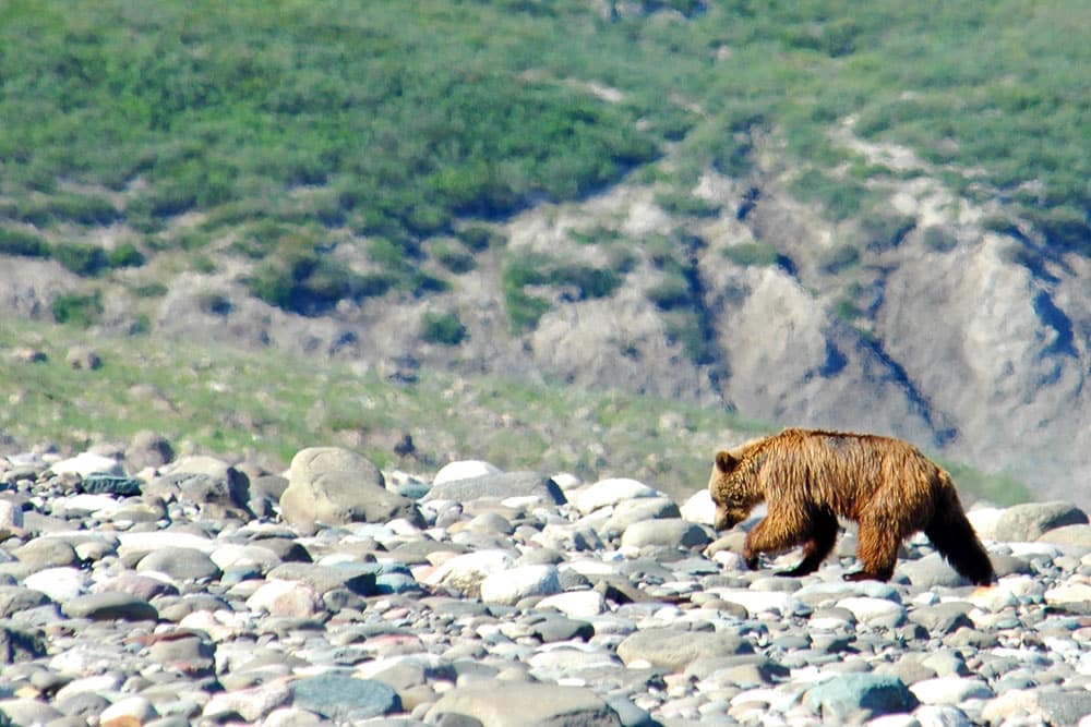 Coppermine River Rafting & Canoeing Canadian River Expeditions