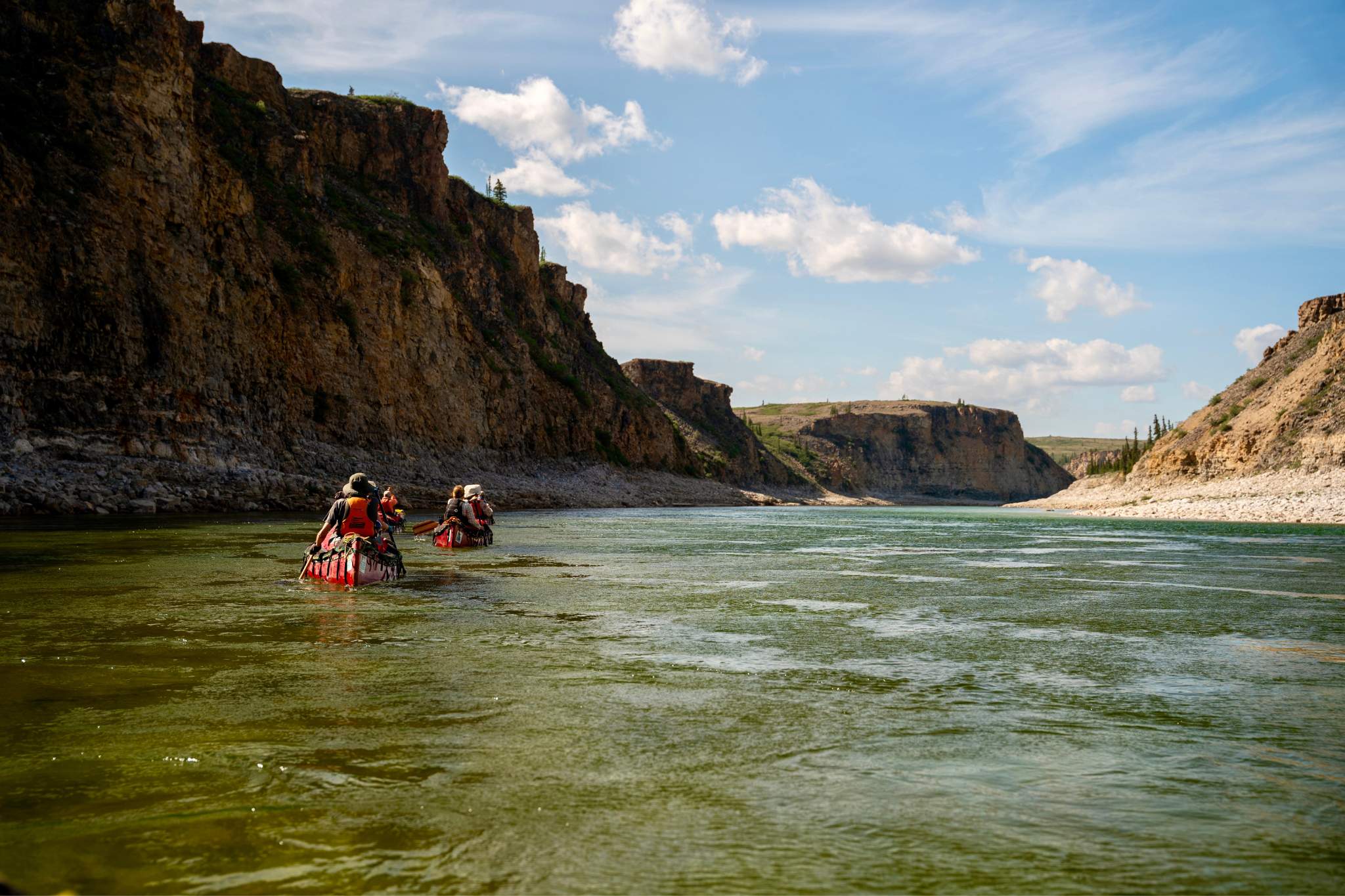 Canoeists navigating rapids amidst towering limestone cliffs on the Horton River, with Peregrine and Gyrfalcons taking flight.