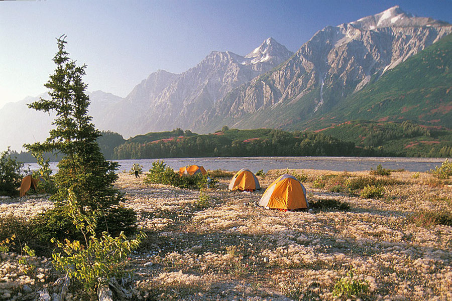 Riverside camping next to the Tatshenshini River on one of our rafting expeditions.
