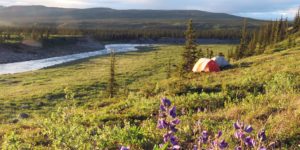 a tent in a grassy field