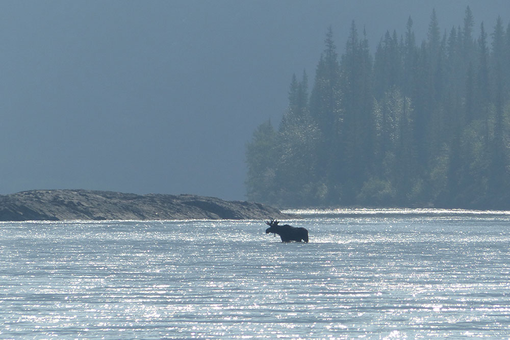 Broken Skull River 22 Day Canoe Adventure Nahanni River