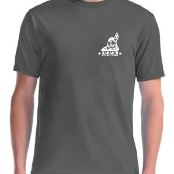 a man wearing a grey shirt