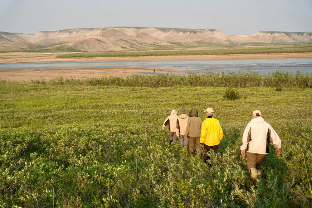a group of people walking in a field