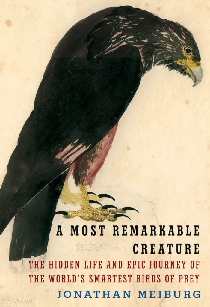 book A Most Remarkable Creature