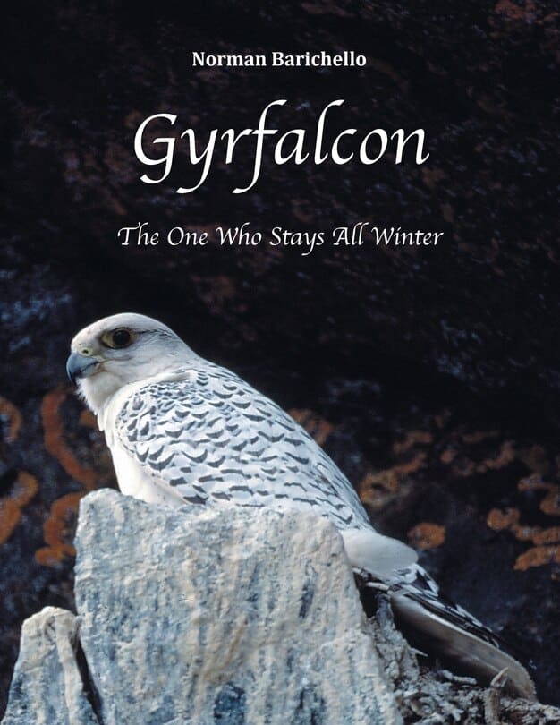 book Gyrfalcon The One who Stays All Winter