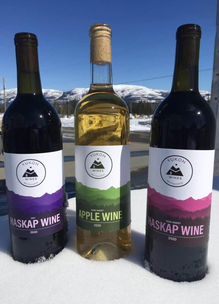 Haskap Wine
