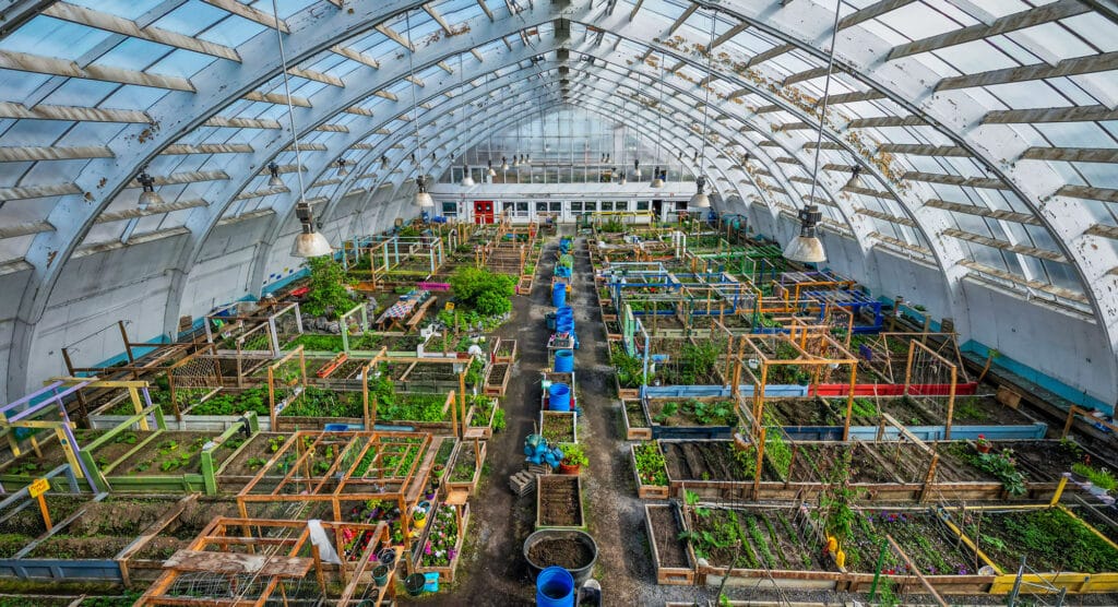 a greenhouse with plants and a large roof with Mall of America in the background