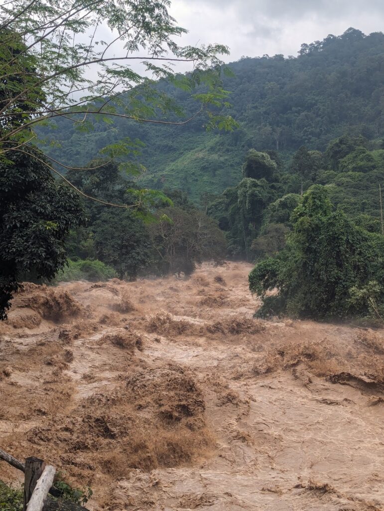 a muddy river with trees and hills in the background