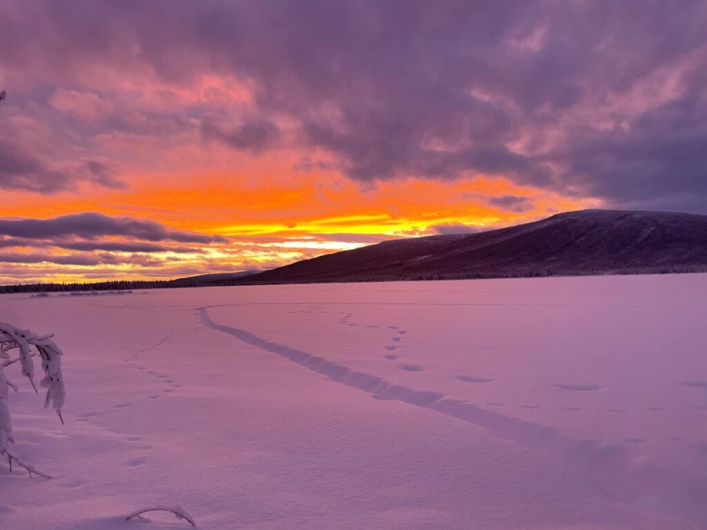 a snow covered field with a mountain in the background