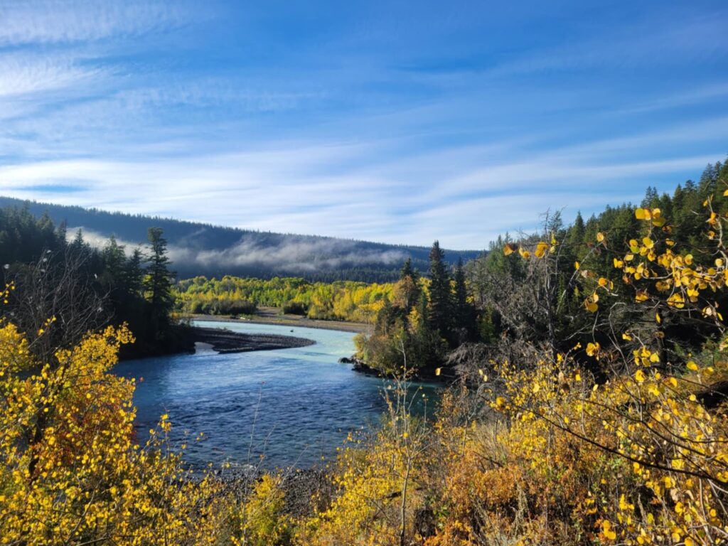 a river with trees and mountains in the background
