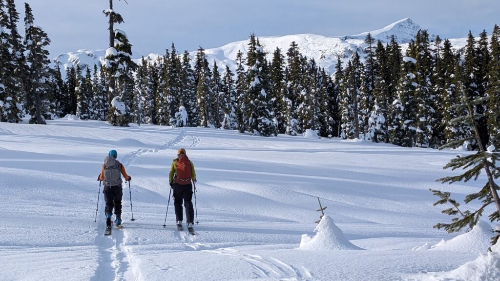 Skiers