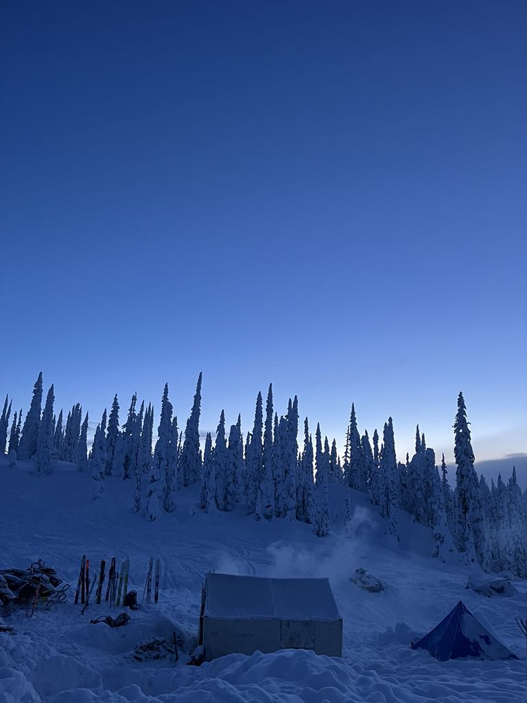 a group of trees on a snowy hill