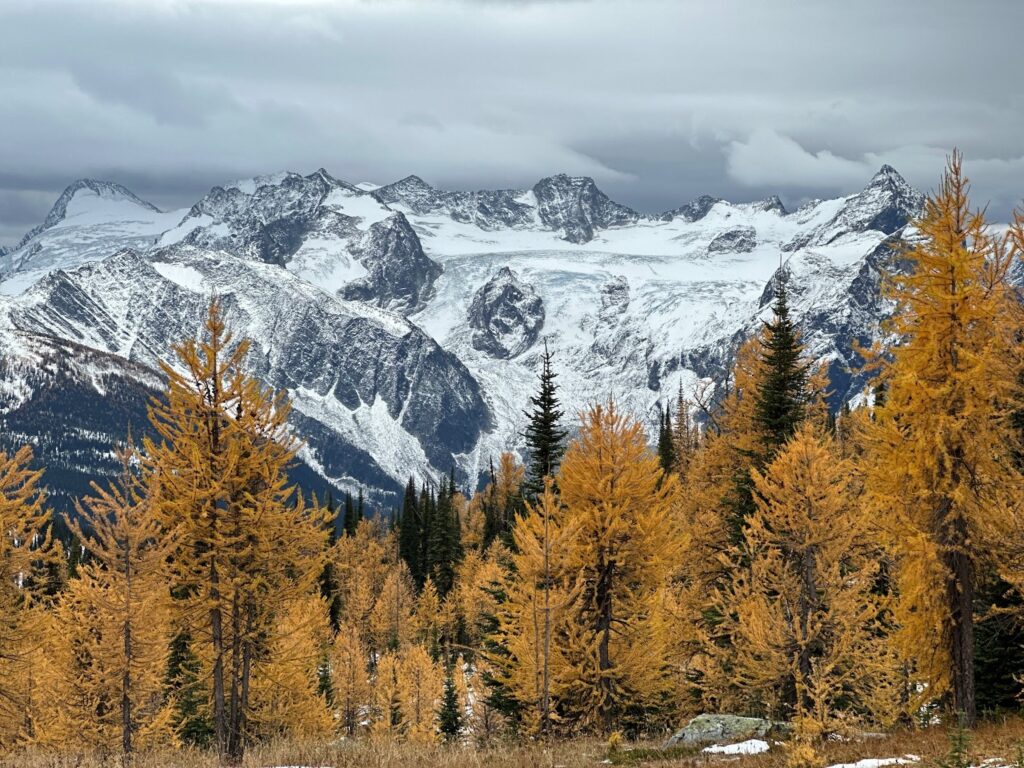 a snowy mountains with trees and snow