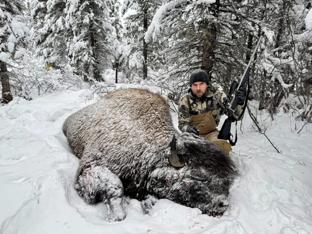 Joel Hibbard bison hunting