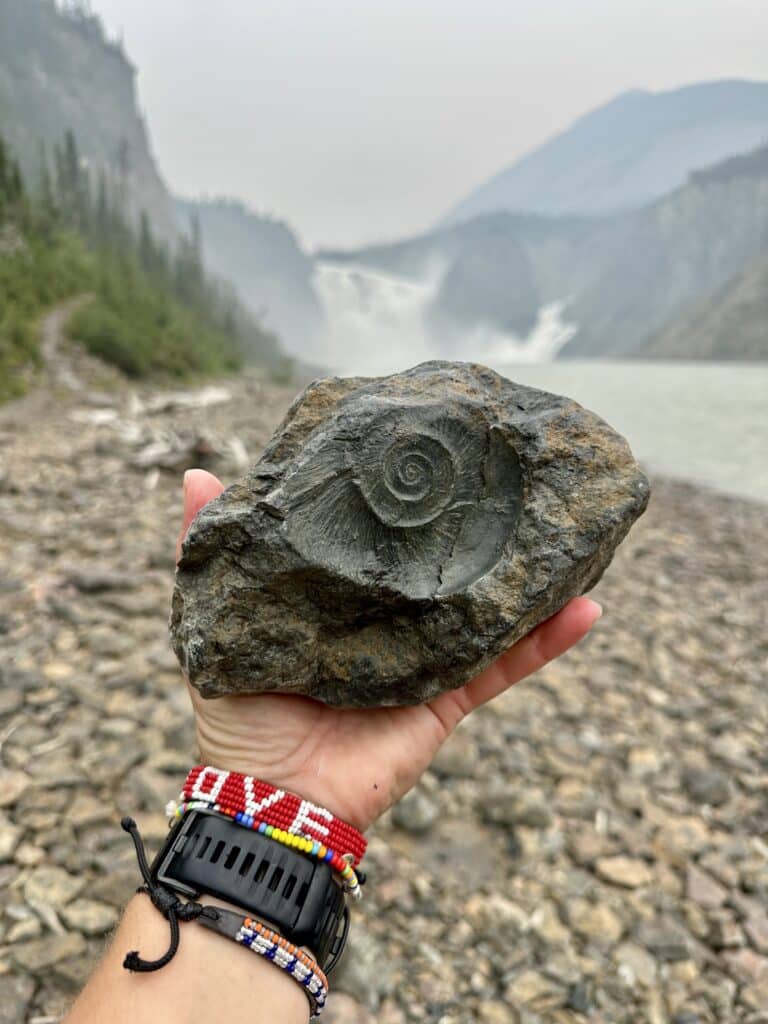 a hand holding a rock with a spiral design