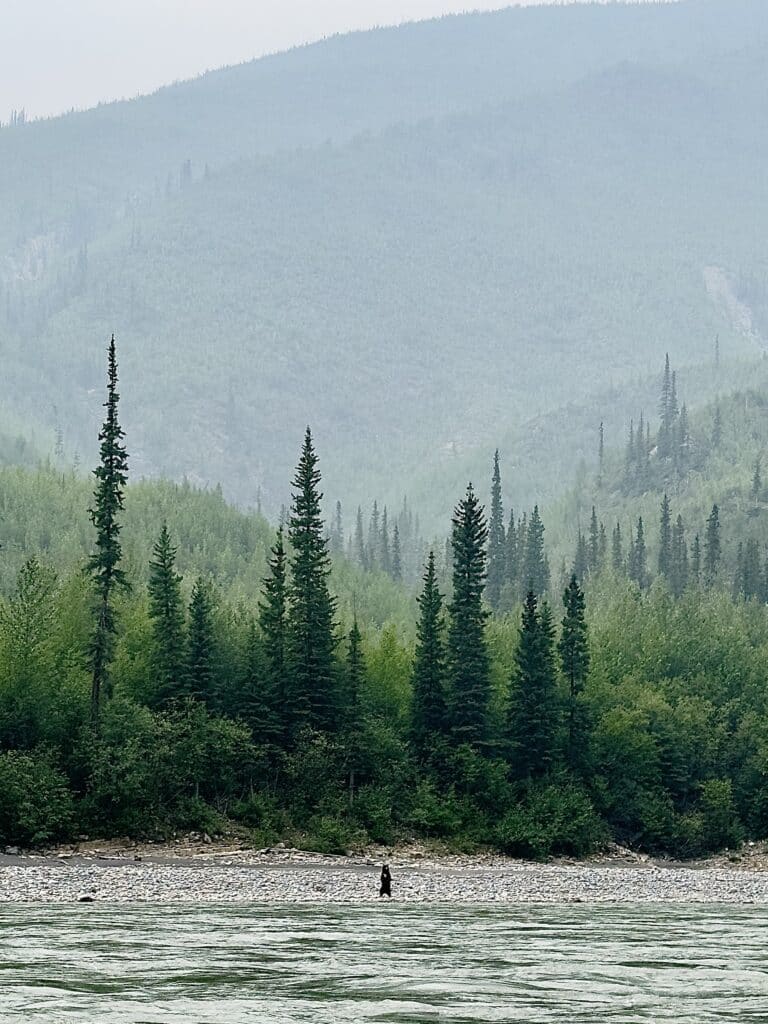 a person standing on a rocky surface surrounded by trees