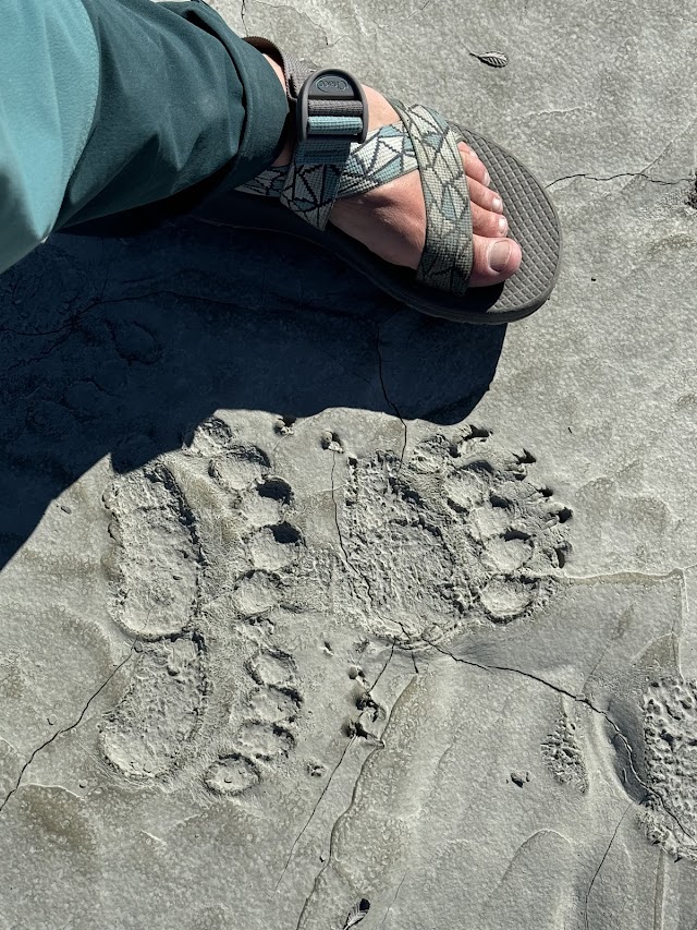 Footprints in sand beside sandal