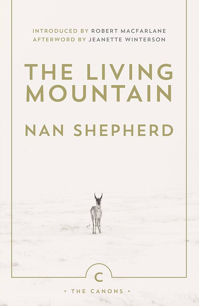 Book cover featuring a solitary deer