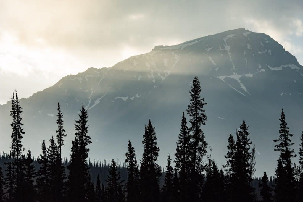 Mountain silhouette with trees and mist