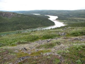 Lush green landscape with winding river