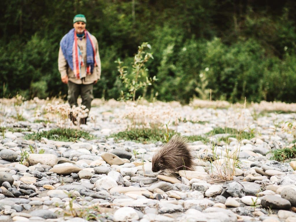 Region_Nahanni_Ecology_1