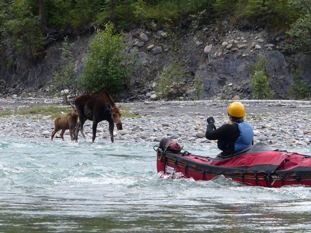 Region_Nahanni_Ecology_3