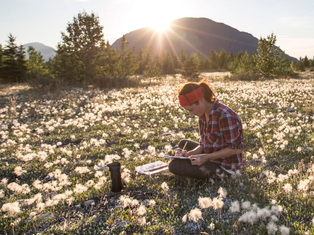 Region_YukonCoast_Ecology_10