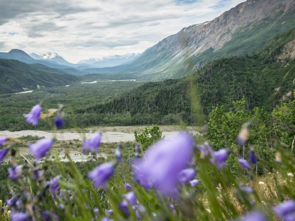 Region_YukonCoast_Ecology_4